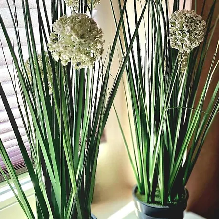 Modern Trifft Antik Tann (Rhon)