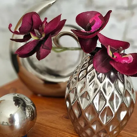 Modern Trifft Antik Daire