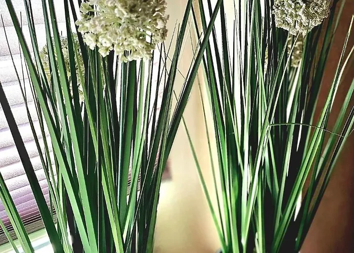 Modern Trifft Antik Tann (Rhon)