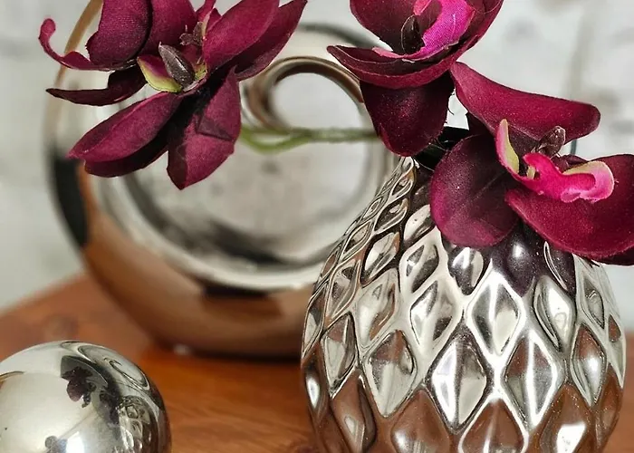 Modern Trifft Antik Appartement